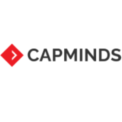 MS Software & Consultancy
                    Services - Partner Cap Minds